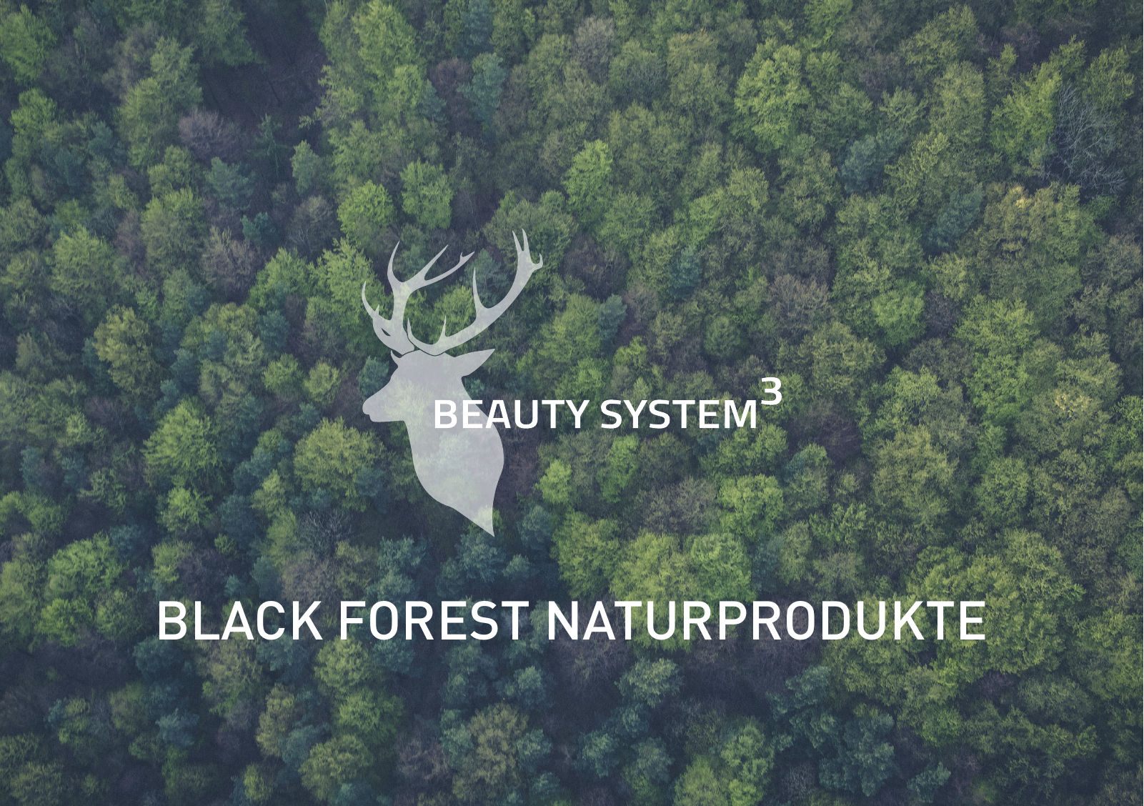 Vorschau 190716_beauty-system_black-forest-naturprodukte Seite 1